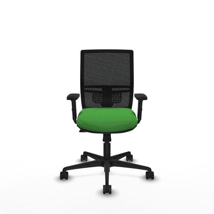 PIQUERAS Y CRESPO Silla de oficina Yunquera con mecanismo Sincro/Traslack, Verde y Negro PIQUERAS Y CRESPO Silla de oficina Yunquera con mecanismo Sincro/Traslack, Verde y Negro