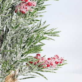 GSC Evolution Árbol de navidad Padas 40cm