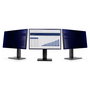 StarTech.com Filtro de Privacidad para Monitor de 23.8 Pulgadas, Colgante, Acrílico, Antihuellas, Ángulo +/- 30°, Antirrayones, Azul, 16:9, Negro - Filtro para Pantalla sin Marco