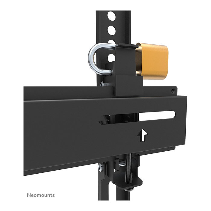 Newstar Soporte de Pared para TV 24-55 Pulgadas, Carga Máxima 25 kg, Color Negro