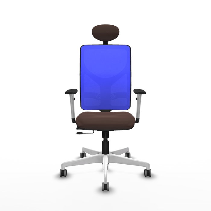 PIQUERAS Y CRESPO Silla de oficina Motilla con mecanismo Sincro/Traslack, Marrón y Azul PIQUERAS Y CRESPO Silla de oficina Motilla con mecanismo Sincro/Traslack, Marrón y Azul