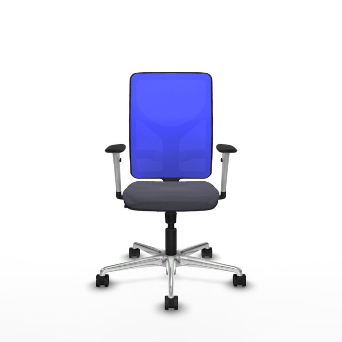PIQUERAS Y CRESPO Silla de oficina Motilla con mecanismo Sincro, Gris oscuro y Azul PIQUERAS Y CRESPO Silla de oficina Motilla con mecanismo Sincro, Gris oscuro y Azul