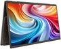 Acer PD163Qbmiuux 15.6 pulg. Full HD Gris