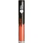 All Tigers Brillo de labios 682 Mate