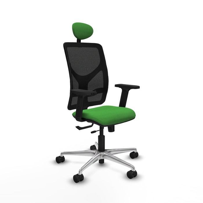 PIQUERAS Y CRESPO Silla de oficina Motilla con mecanismo Sincro/Traslack, Verde y Negro PIQUERAS Y CRESPO Silla de oficina Motilla con mecanismo Sincro/Traslack, Verde y Negro