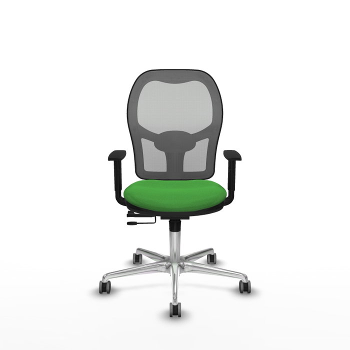 PIQUERAS Y CRESPO Silla de oficina Jorquera Verde y Gris