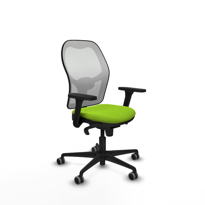 PIQUERAS Y CRESPO Silla de oficina Jorquera con mecanismo Sincro, Pistacho y Blanco PIQUERAS Y CRESPO Silla de oficina Jorquera con mecanismo Sincro, Pistacho y Blanco