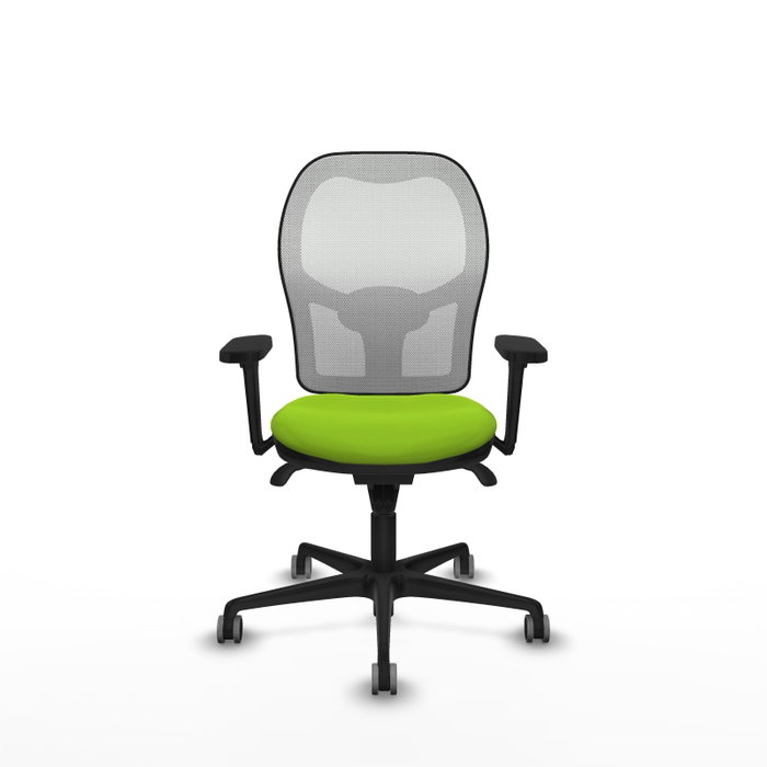PIQUERAS Y CRESPO Silla de oficina Jorquera con mecanismo Sincro, Pistacho y Blanco PIQUERAS Y CRESPO Silla de oficina Jorquera con mecanismo Sincro, Pistacho y Blanco