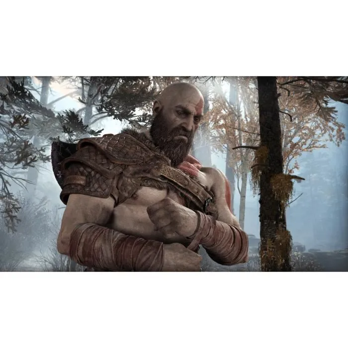 Sony Computer Entertainment God Of War PS4 PlayStation 4 PlayStation Hits