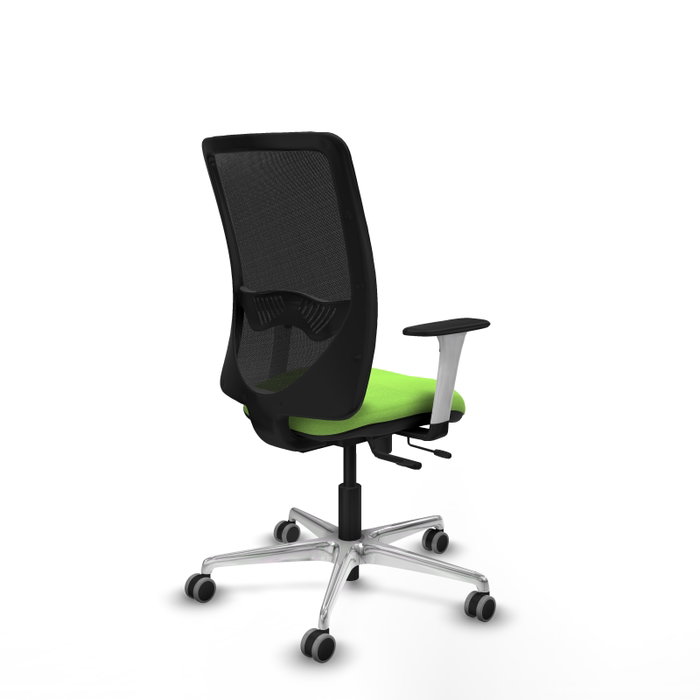 PIQUERAS Y CRESPO Silla de oficina Zulema con mecanismo Sincro/Traslack, color Pistacho y Negro PIQUERAS Y CRESPO Silla de oficina Zulema con mecanismo Sincro/Traslack, color Pistacho y Negro