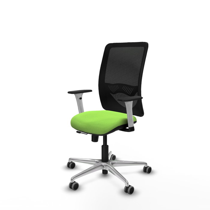 PIQUERAS Y CRESPO Silla de oficina Zulema con mecanismo Sincro/Traslack, color Pistacho y Negro PIQUERAS Y CRESPO Silla de oficina Zulema con mecanismo Sincro/Traslack, color Pistacho y Negro