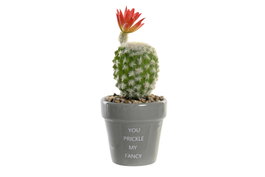 DKD Home Decor Planta de Cerámica Cactus Surtido 8x8x20 cm (Gris y Rosa)