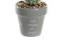 DKD Home Decor Planta Cactus Cerámica Gris Rosa 8 x 20 x 8 cm (8 Unidades)