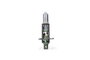 M-Tech Lámpara Halógena Premium H1 12V/55W (Pack de 10 unidades)