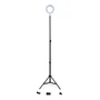 SUN Trípode SUN-RL6-200 Iluminación Videoblogs 8W 6000K Ø16Cm 68-200Cm Regulable 40.000H