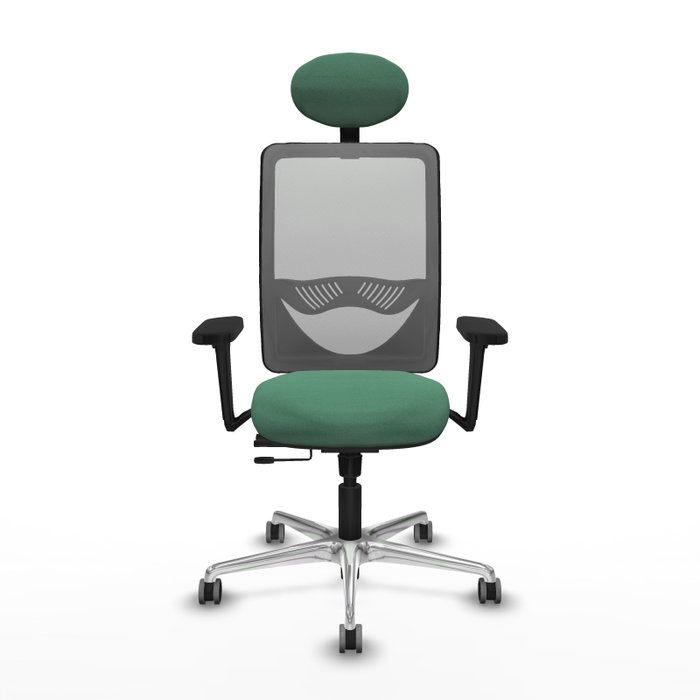 PIQUERAS Y CRESPO Silla de oficina Zulema con mecanismo Sincro/Traslack, Verde esmeralda y Gris PIQUERAS Y CRESPO Silla de oficina Zulema con mecanismo Sincro/Traslack, Verde esmeralda y Gris