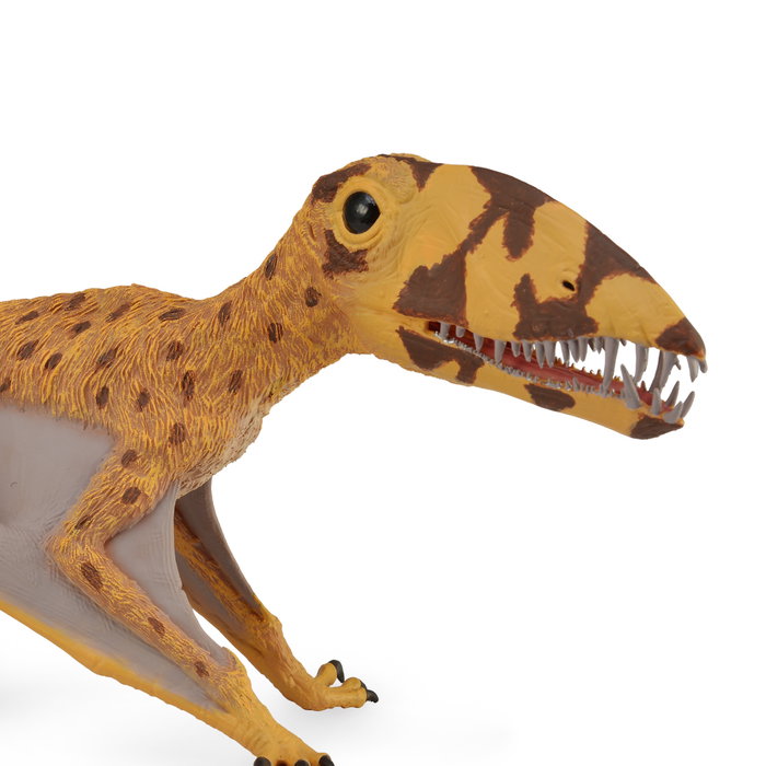 Collecta Dimorphodon con Mandíbula Móvil Deluxe Réplica Animales Prehistóricos 88798