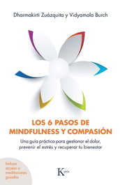 KAIROS 6 PASOS DE MINDFULNESS Y COMPASION, LOS. (PSICOLOGIA) - AA.VV.
