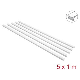 DeLOCK 22068 Canaleta autoadhesiva con tapa deslizante 25 x 10 mm - 1 m (Pack de 5, Blanco)