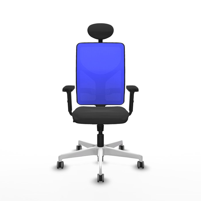 PIQUERAS Y CRESPO Silla de oficina Motilla con mecanismo Sincro, Gris oscuro y Azul PIQUERAS Y CRESPO Silla de oficina Motilla con mecanismo Sincro, Gris oscuro y Azul