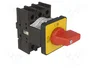 EATON ELECTRIC Interruptor de levas de emergencia P1-25/E-RT 25A 13kW