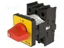 EATON ELECTRIC Interruptor de levas de emergencia P1-25/E-RT 25A 13kW