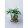 Nature Portamacetas cuadrado con ruedas - Madera FSC