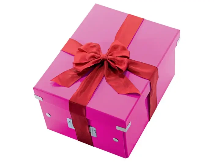 Leitz Caja de almacenamiento Click&Store mediana, fucsia, 281x200x369 mm