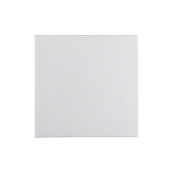 Berker Wippe pws glänzend Blanco Berker Wippe pws glänzend Blanco