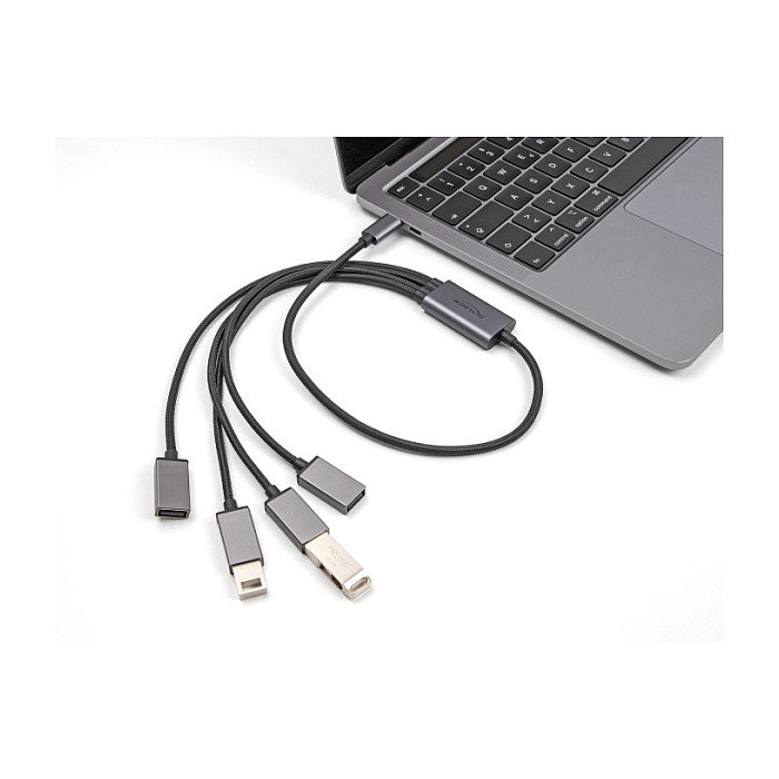 DeLOCK Concentrador 4 Puertos USB 2.0 con Conector USB Type-C 60 cm