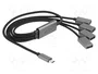 DeLOCK Concentrador USB 2.0 de 4 puertos con conector USB Type-C™ y cable de 60 cm