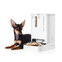 Petkit YumShare Dual Comedero Automático para Mascotas Blanco