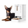 Petkit YumShare Dual-Hopper con Cámara