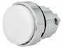 SCHNEIDER ELECTRIC Interruptor de presión blanco 22mm ZB4BW11