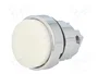 SCHNEIDER ELECTRIC Interruptor de presión blanco 22mm ZB4BW11