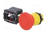 SCHNEIDER ELECTRIC Interruptor de emergencia Harmony XB5 rojo NC x2