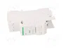 SCHNEIDER ELECTRIC Disyuntor de tensión 12÷24VAC / 12÷24VDC