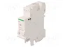 SCHNEIDER ELECTRIC Disyuntor de tensión 12÷24VAC / 12÷24VDC