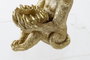 DKD Home Decor Figura de Mono Dorado en Resina