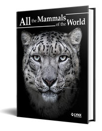 All the Mammals of the World, WOOD WENDY - LYNX
