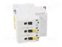 SCHNEIDER ELECTRIC Interruptor magnetotérmico ACTI9 iC60N 13A 3P Característica D