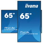 iiyama 65" 4K UHD IPS 3840x2160 25% Haze Monitor para Uso Profesional 24/7 Landscape y Portrait con Media Player USB