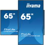 iiyama Monitor Profesional 65 pulgadas 4K UHD IPS 3840x2160, Panel Mate 25% Haze, Modo Retrato y Paisaje, Altavoces 2x10W, HDMI, USB, VESA 500x500
