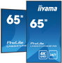 iiyama Monitor Profesional 65 pulgadas 4K UHD IPS 3840x2160, Panel Mate 25% Haze, Modo Retrato y Paisaje, Altavoces 2x10W, HDMI, USB, VESA 500x500