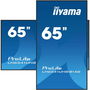 iiyama 65" 4K UHD IPS 3840x2160 25% Haze Monitor para Uso Profesional 24/7 Landscape y Portrait con Media Player USB