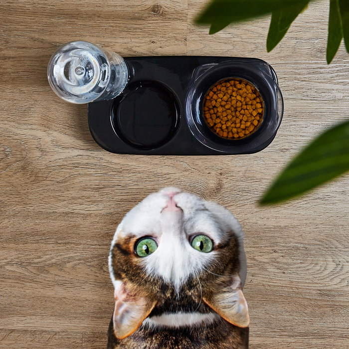 The Concept Factory Comedero Bebedero Gato Mon Chat Mon Ch Elevado con Dispensador de Agua 500ml