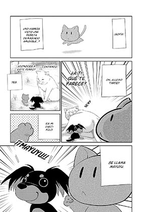 Historias Absurdas 02. Otro Gato
