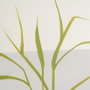Ixia Cuadro Pintura Jarrones 2/M 60 x 80 cm
