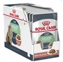 Royal Canin Feline Digest Sensitive Gravy 12 Bolsitas x 85g