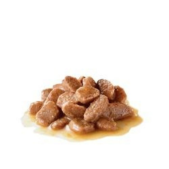 Royal Canin Feline Digest Sensitive Gravy 12 Bolsitas x 85g